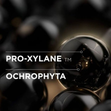 Bain Régénérant – Shampooing Régénérant pour Cheveux Brillants et Souples