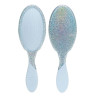 Wet Brush Detangling Brush | Birthday Celebration Blue | Keshop