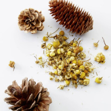 3 in 1 Chamomile Pine - American Crew Hair & Body Care - Keshop.com