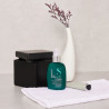Alfaparf Semi di Lino Reconstruction | Anti-rotura 230C | Keshop