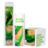 Matcha Blossom Pack | Reparación, Detox y Brillo Capilar Intensivo