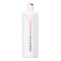 Penetraitt Conditioner - 1000 ml