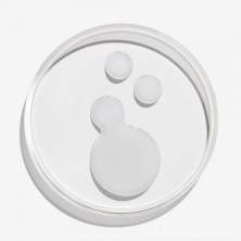 Acidic Bonding Concentrate Shampooing - Redken - Keshop.com