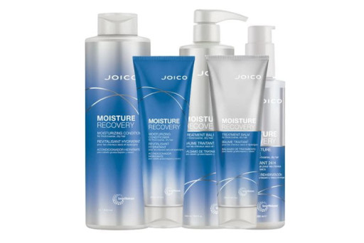 ▷ Joico Moisture Recovery